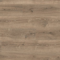 PARCHET LAMINAT, FUTURE RETRO, STEJAR BAYFORD GRI EPL118, 32/AC4, 2050X246X10 MM