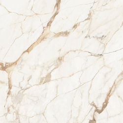 GRESIE PORTELANATA, exterior/interior, PORCELANOSA GRUPO, CALACATTA GOLD NATURE 120X120 cm, crem