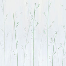 SKINS MURAL BAMBOO GREEN 280X416