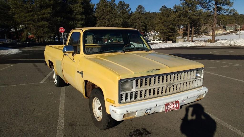 1981 Chevrolet C 10