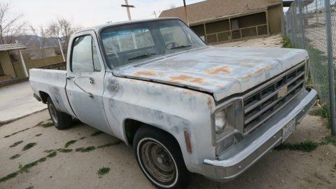rust free project 1975 Chevrolet C 10 Custom Deluxe pickup for sale