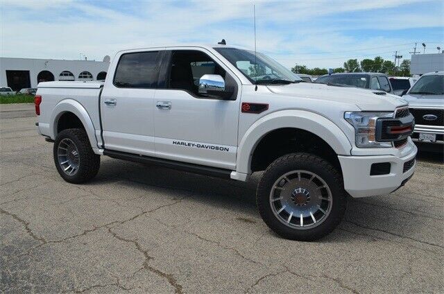 brand new 2019 Ford F 150 Lariat pickup