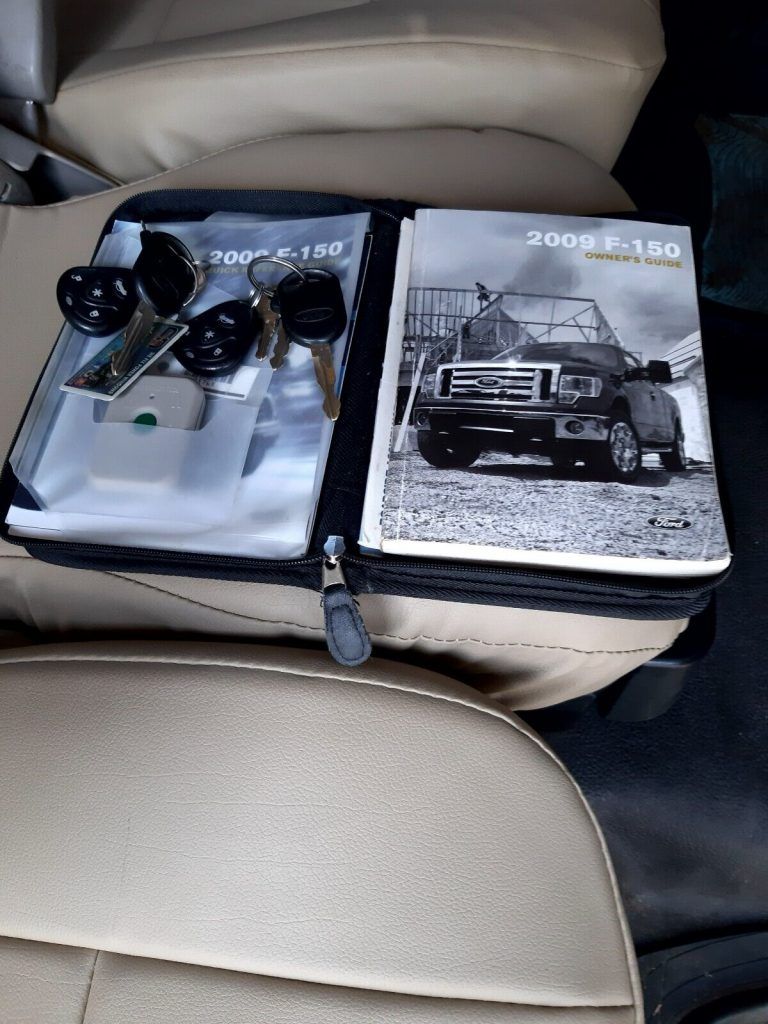 2009 Ford F-150 XL pickup [minor blemishes]