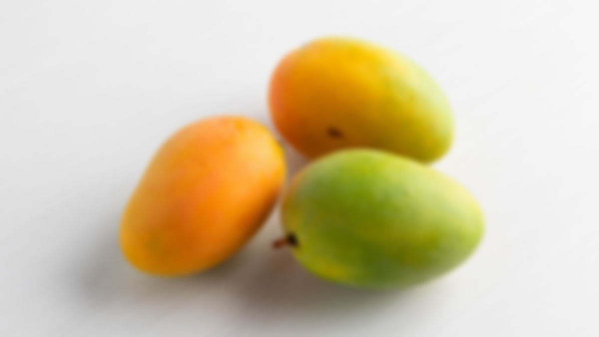Mango Early Gold