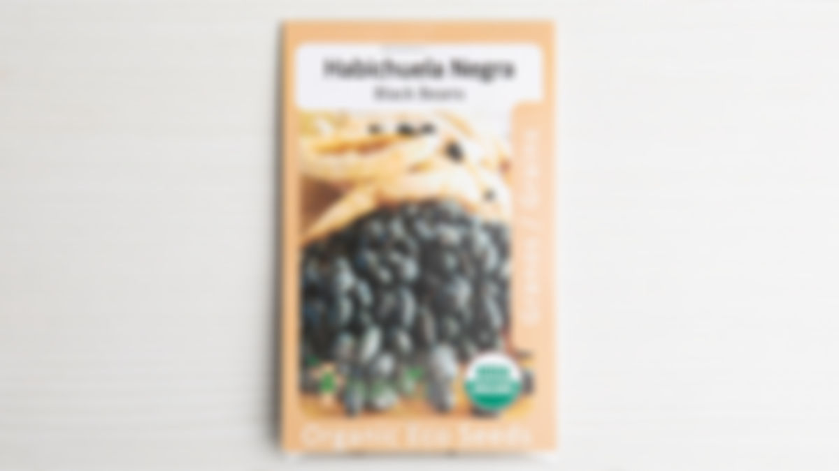 Black Bean Seed