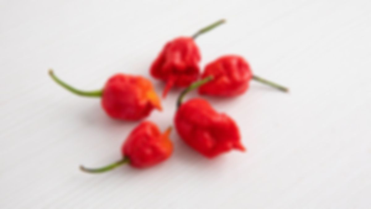 Pimiento escorpión