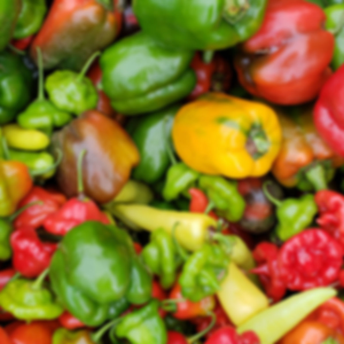 Peppers