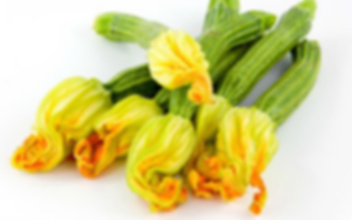 Flor de calabaza (docena)