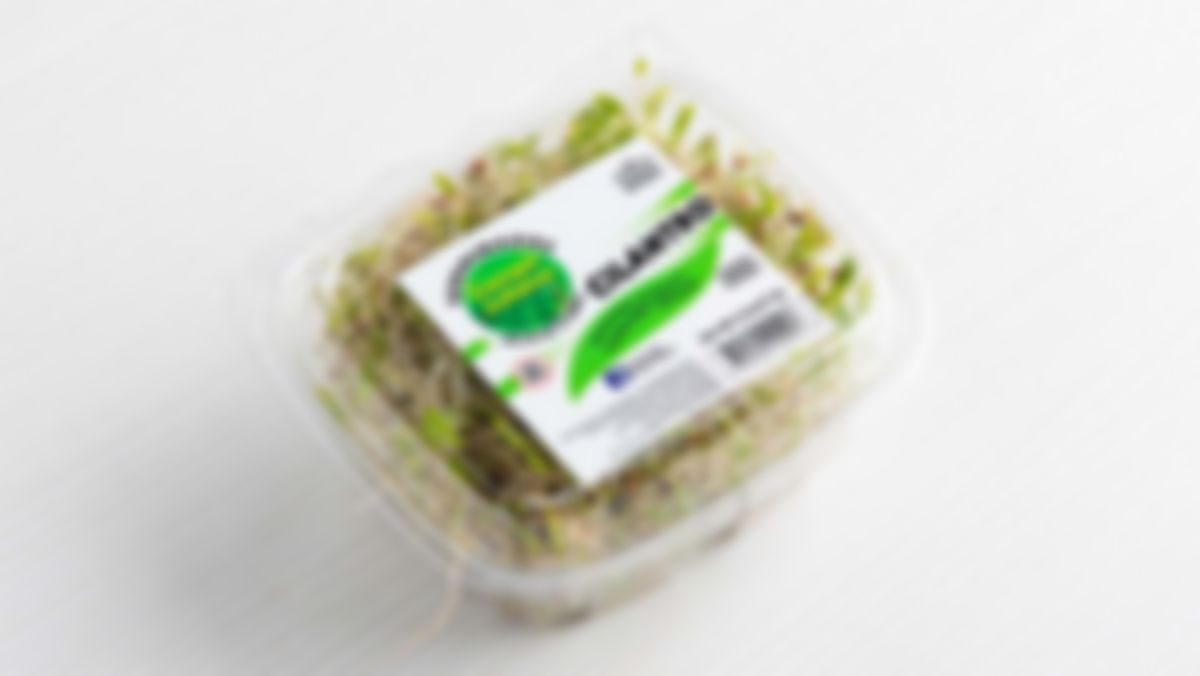 Germinados de Cilantro, 2.5 oz