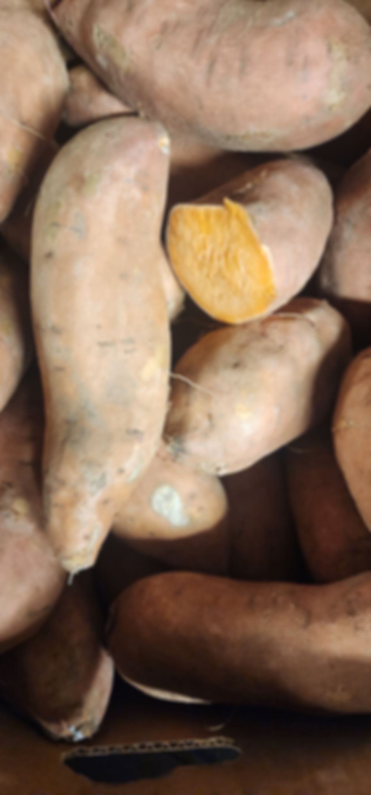 Batata Mameya