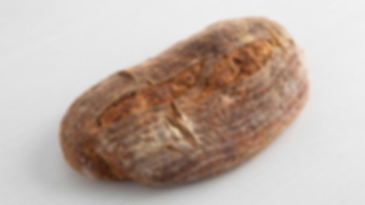 Pan campesino multigrano (masa madre/sourdough), Panoteca San Miguel