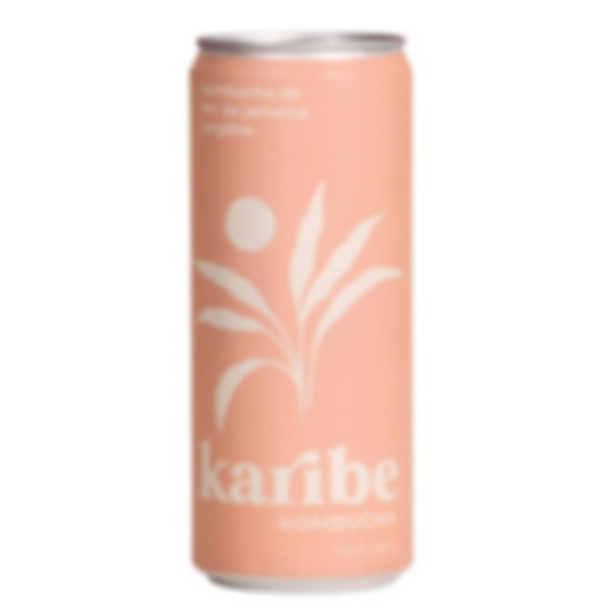 Kombucha de flor de jamaica y jengibre
