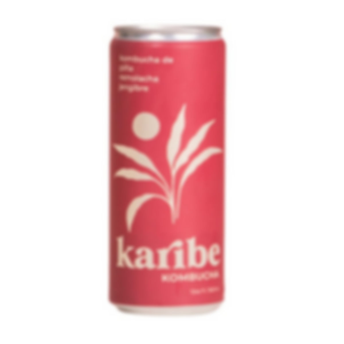 Kombucha de piña, remolacha y jengibre