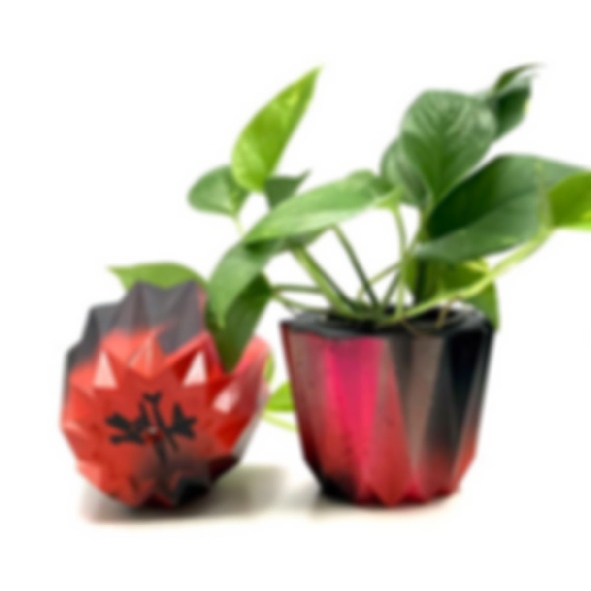 Art 6: 🌱Planter painted by the artist Sofía Maldonado