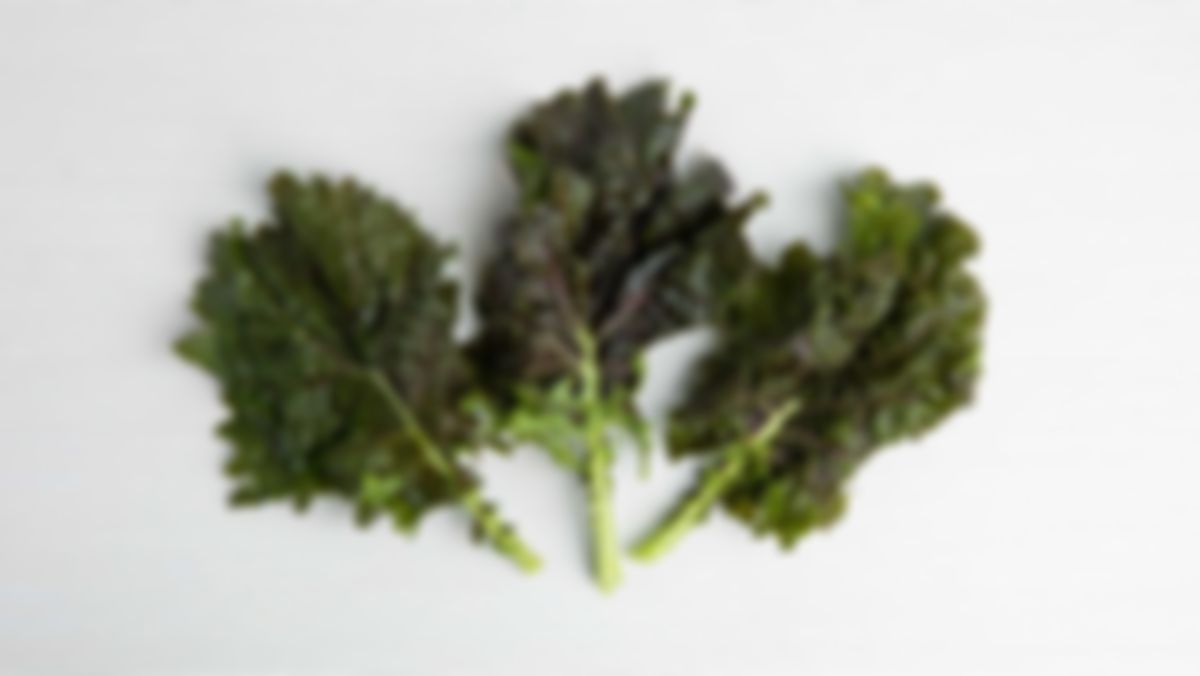 Kale Morado