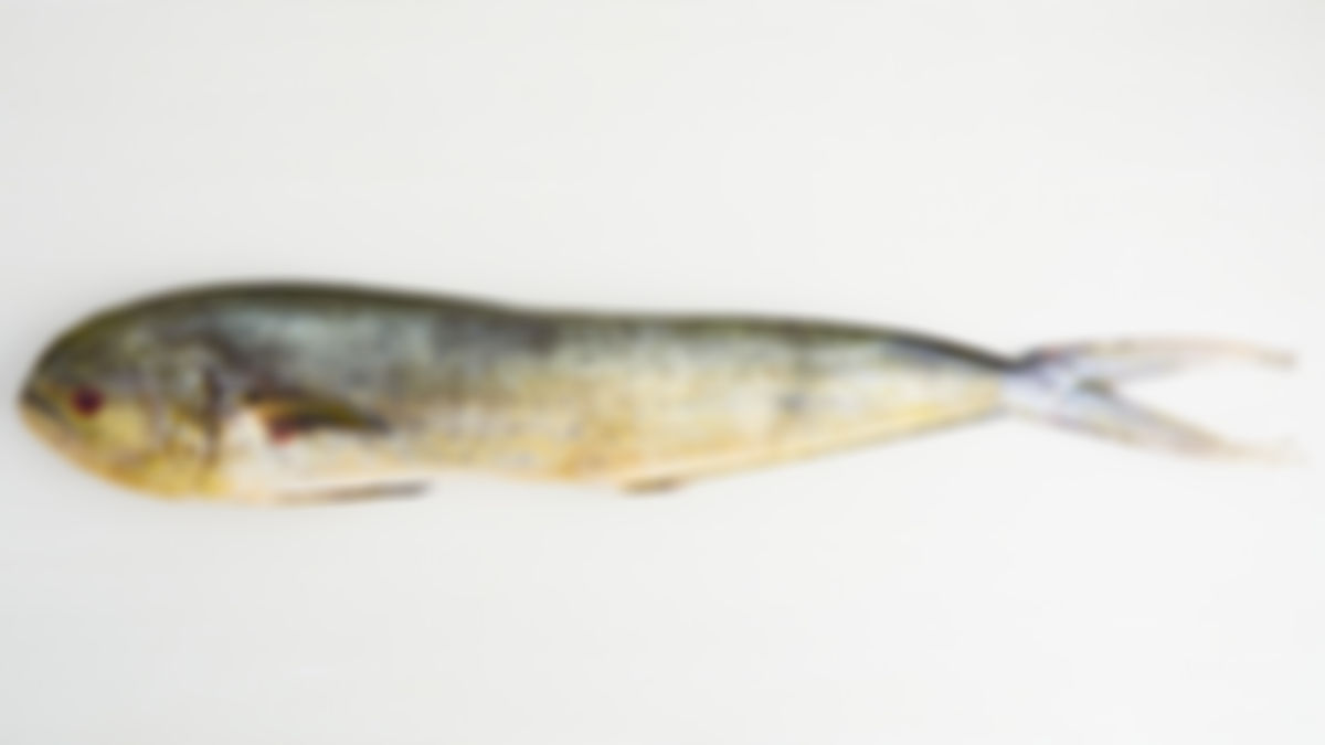 Pescado dorado entero