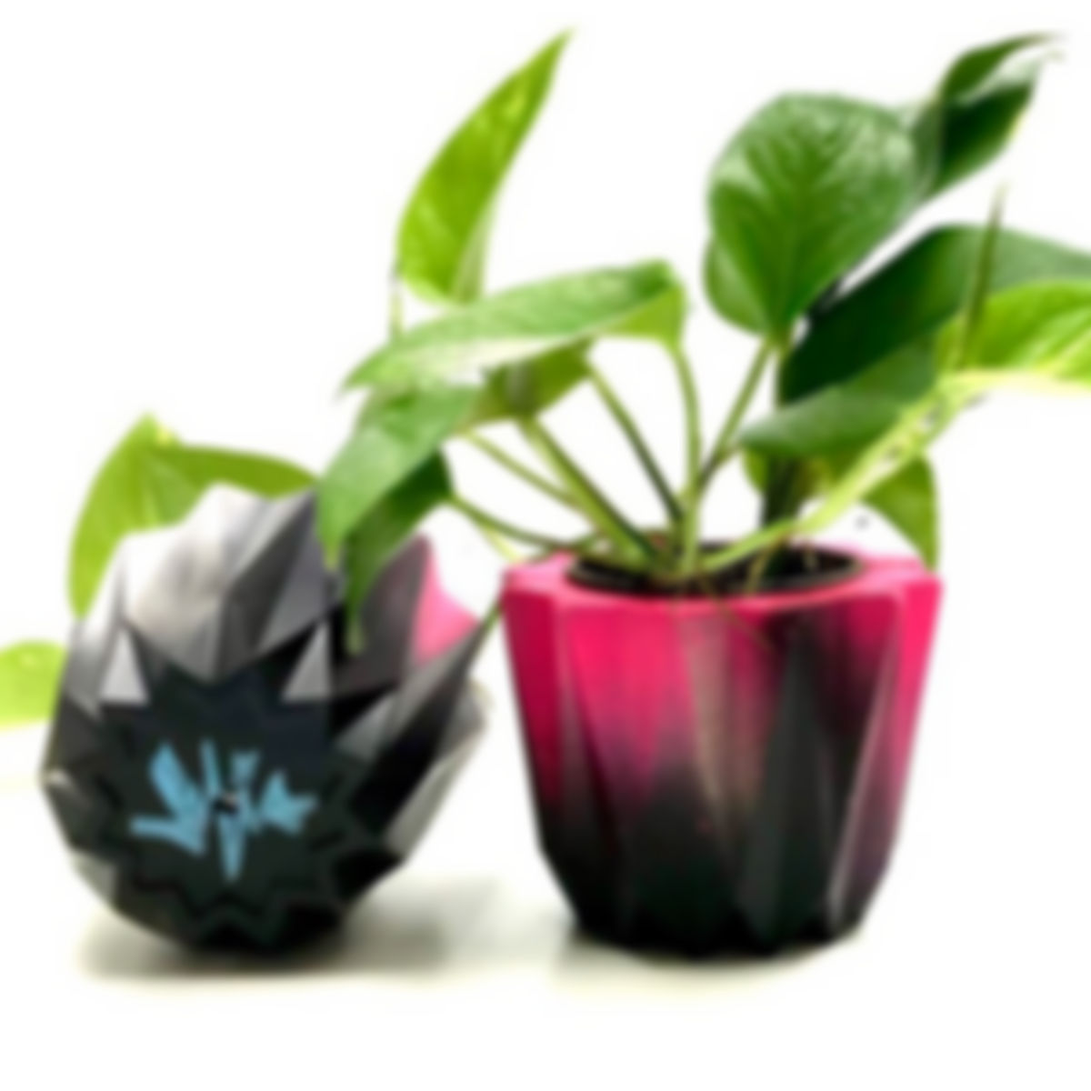 Art 5: 🌱Planter painted by the artist Sofía Maldonado