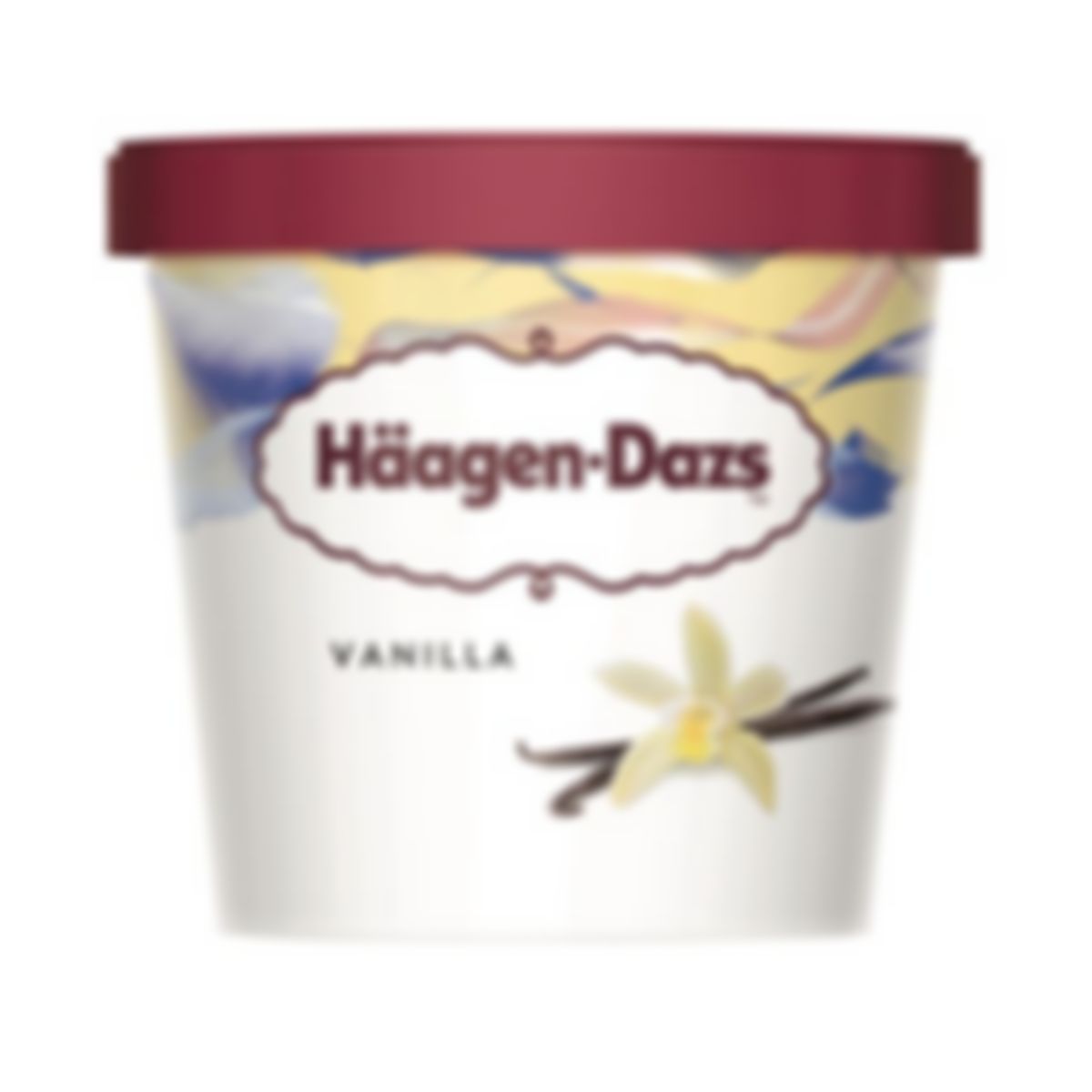 Haagen-Dazs Vanilla