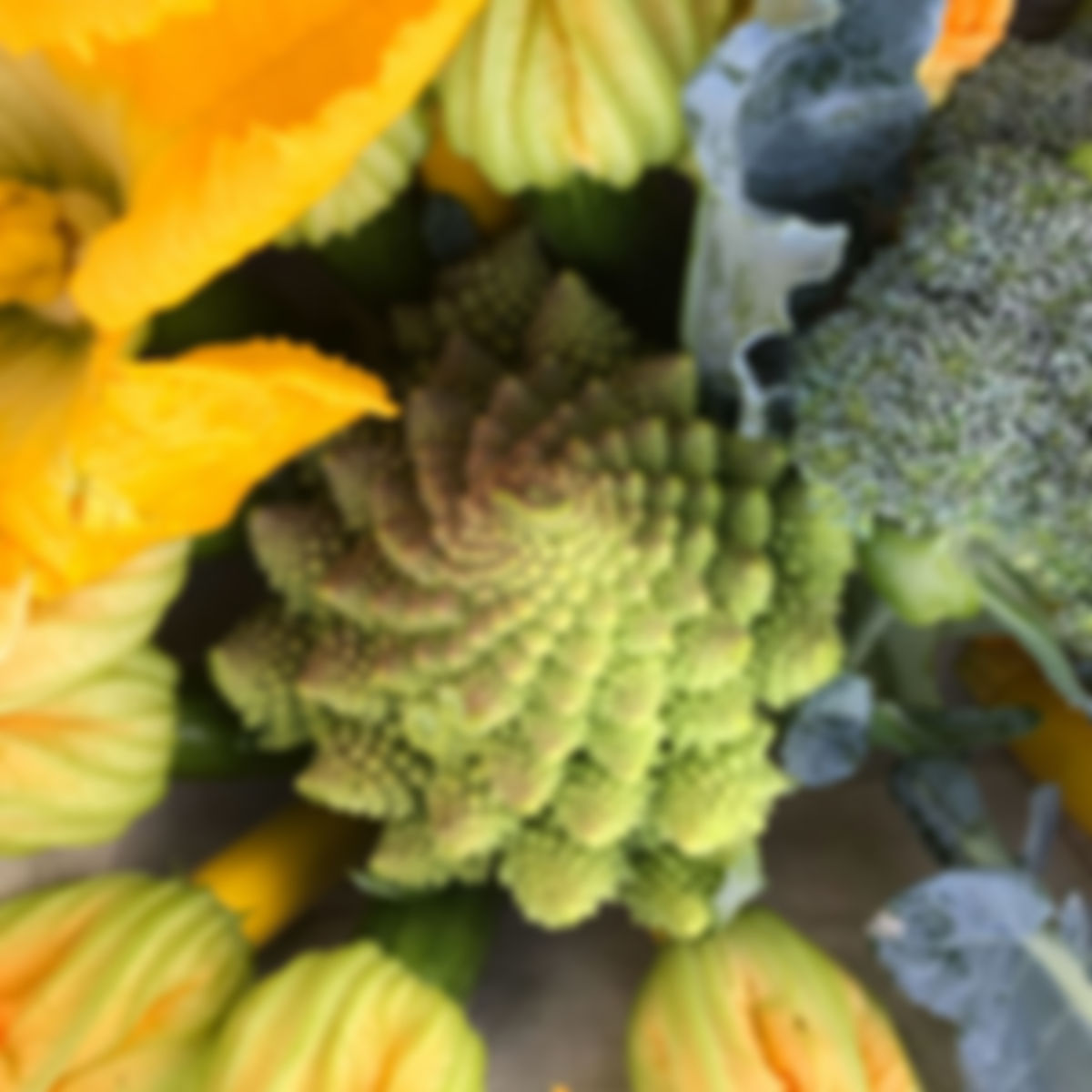 Romanesco broccoli