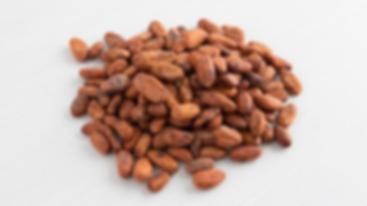 Semilla de cacao, 1 lb