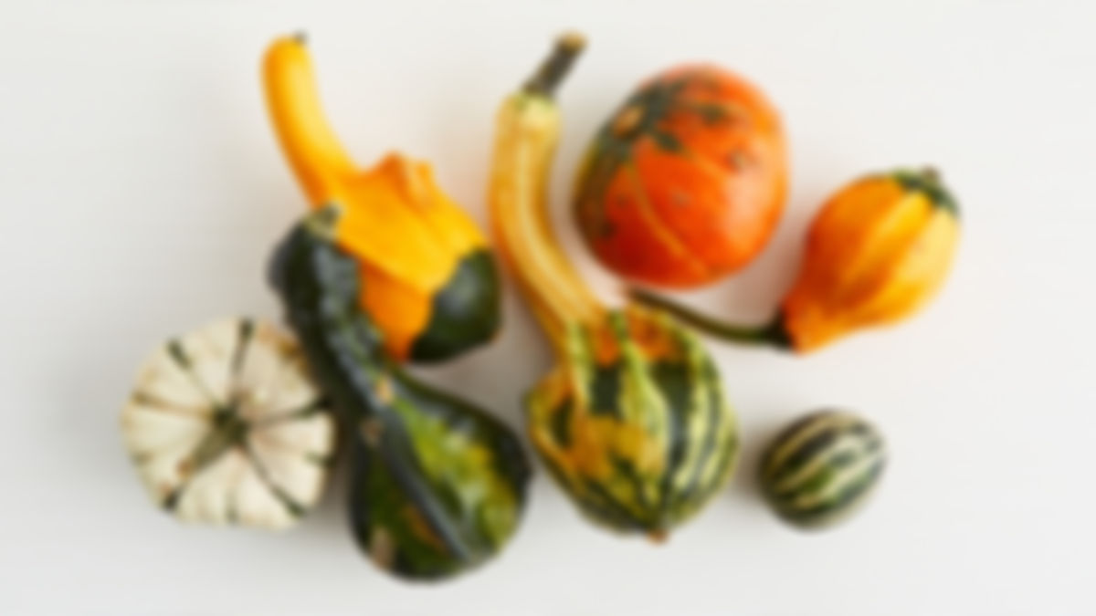 Calabaza ornamental