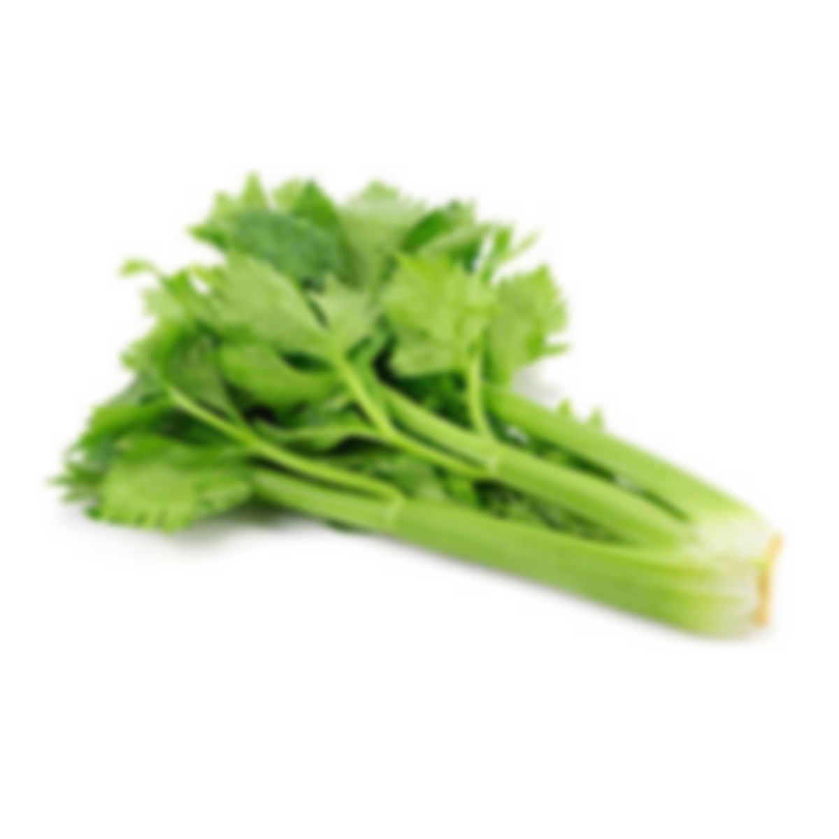 Celery, bulk