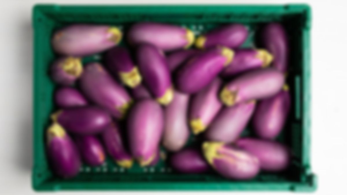 Eggplant, bulk