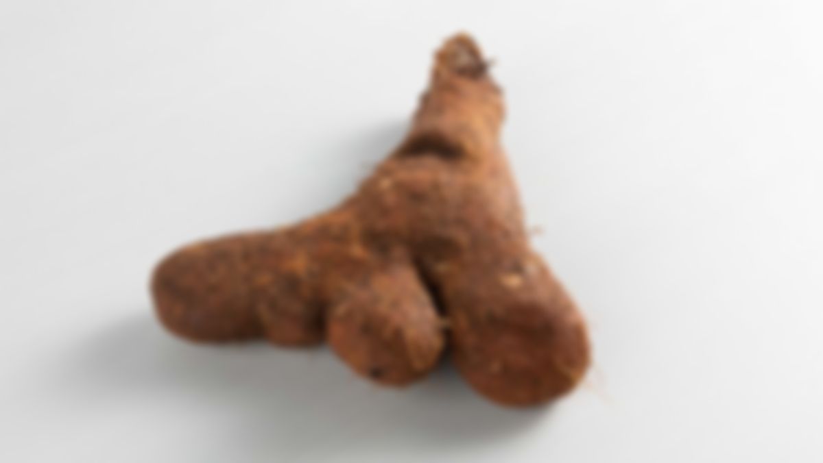 Ñame Congo ( amarillo)