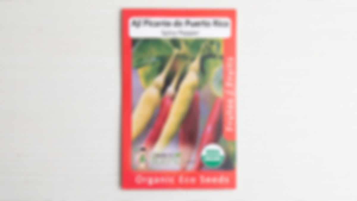 Semilla Ají picante