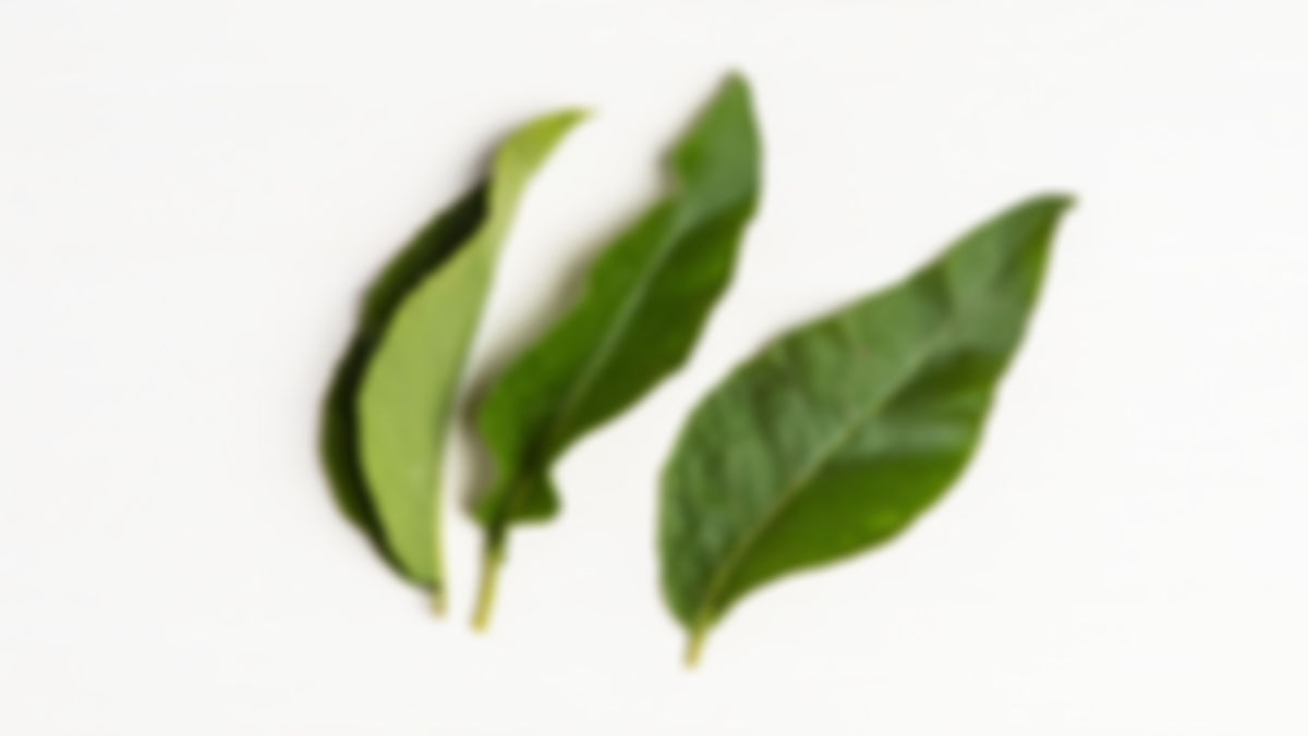 Sage leaves Delivered to your door