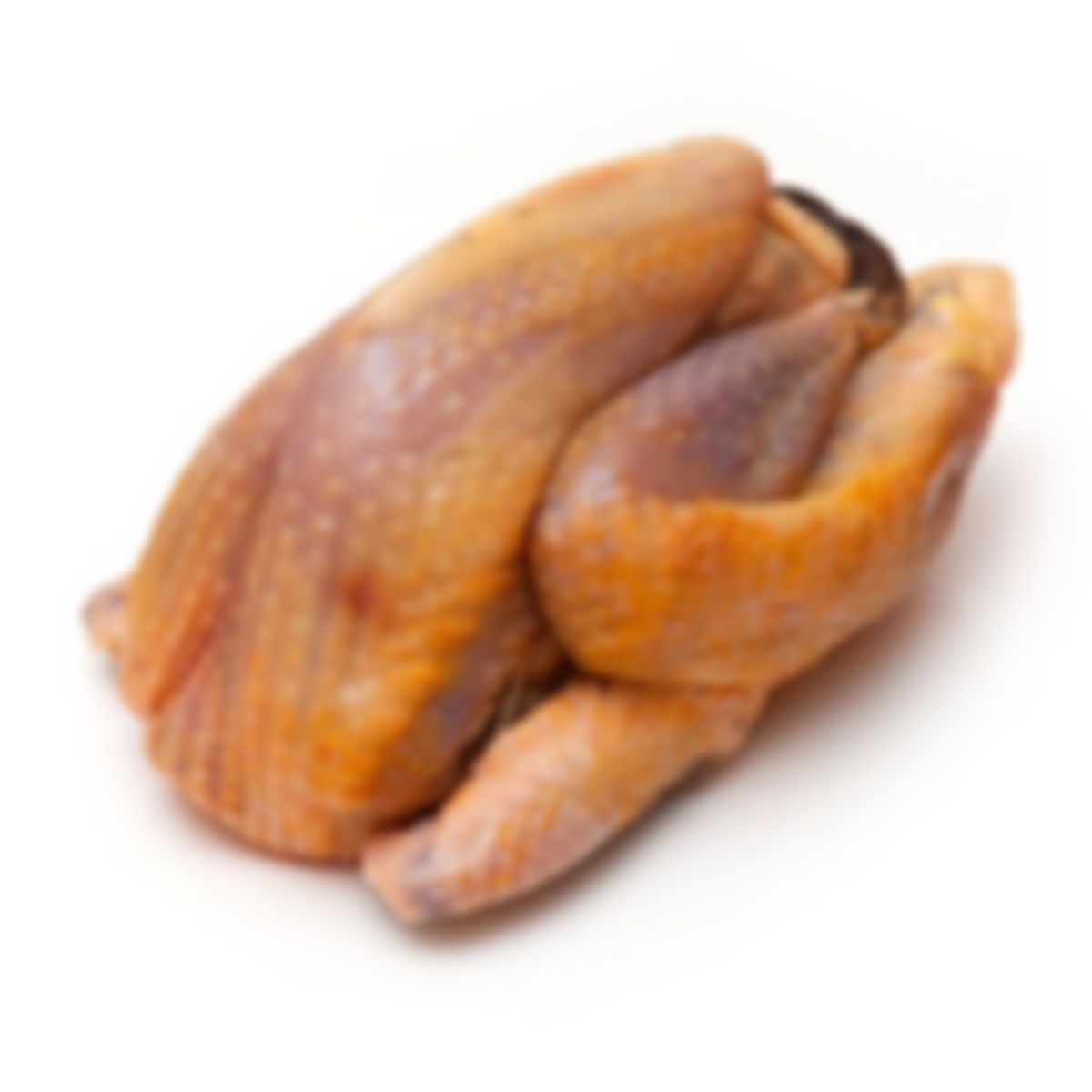 Guinea (2- 2.5lbs)