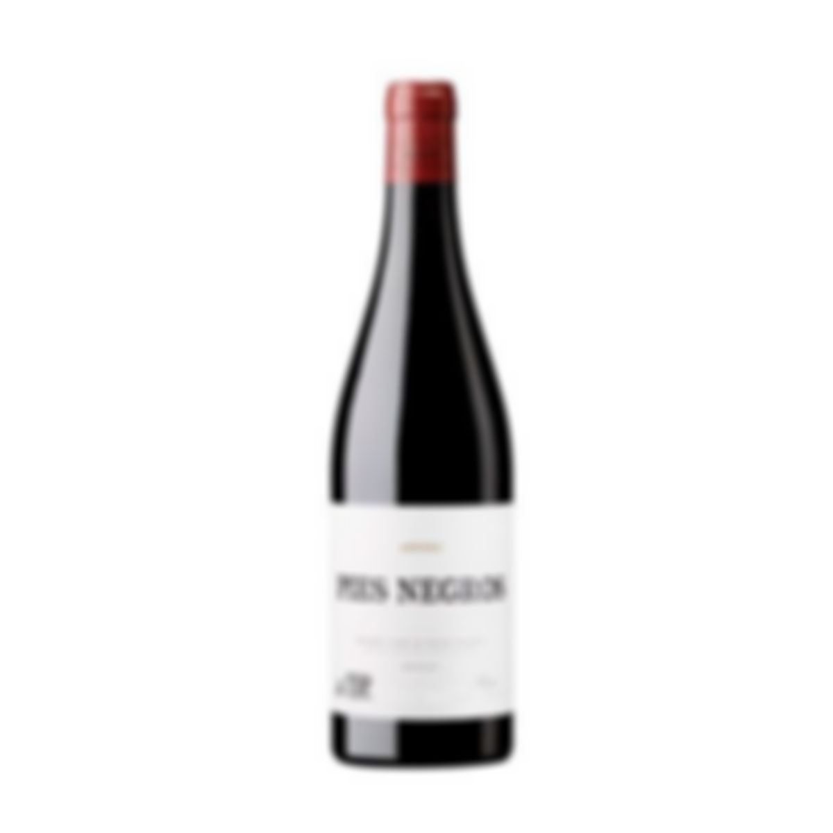 Pies negros bodegas artuke