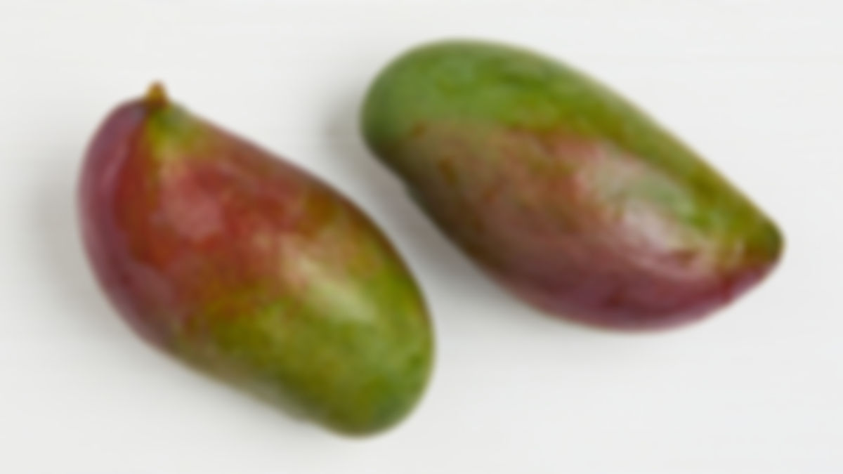 Palmer mango