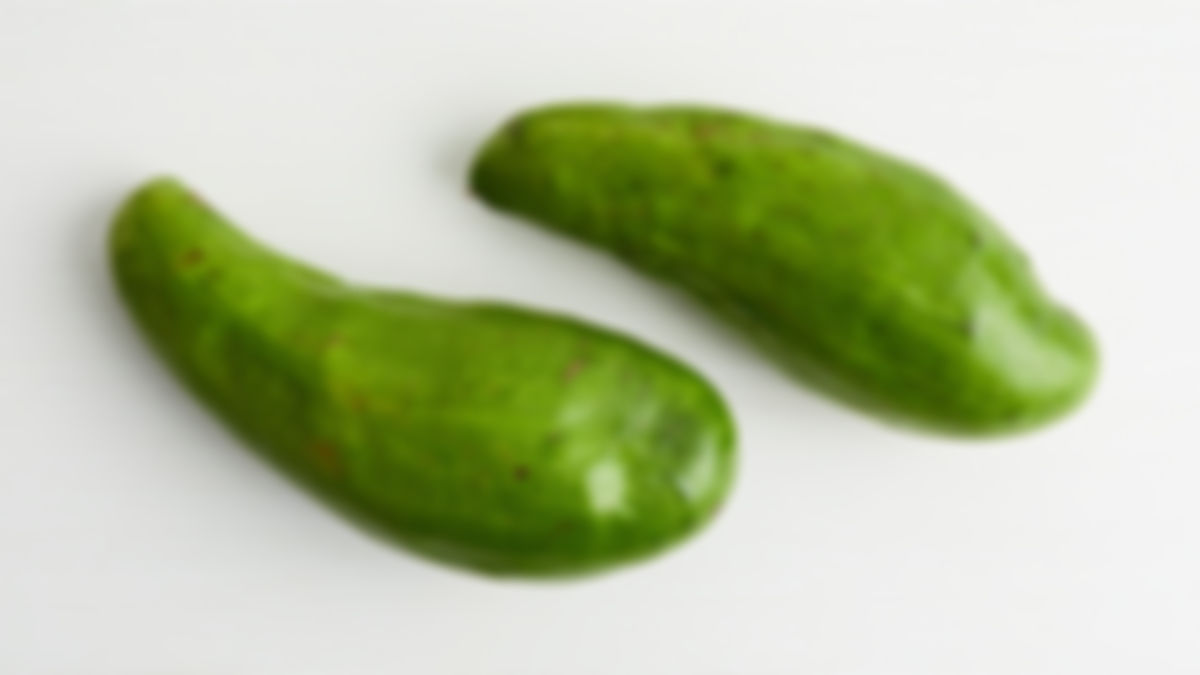 Avocado Wilson Popenoe