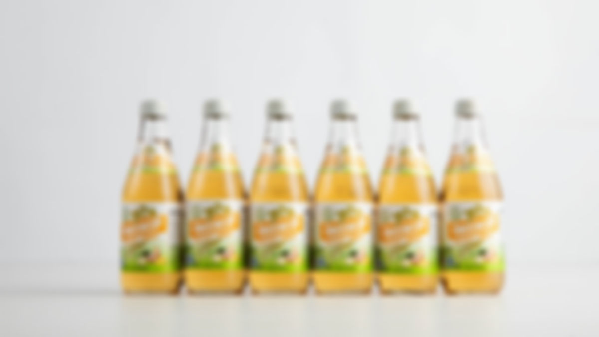 Ginseng Up Zero Calorie Ginger 12oz, 6pack