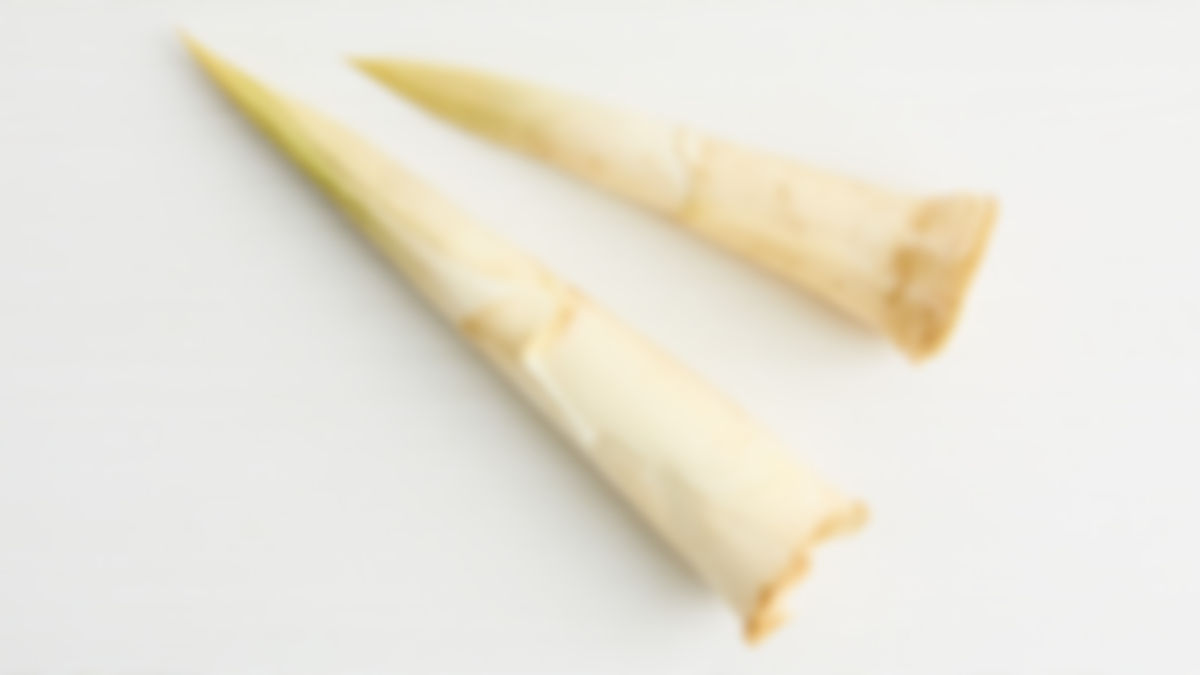 Bamboo shoots