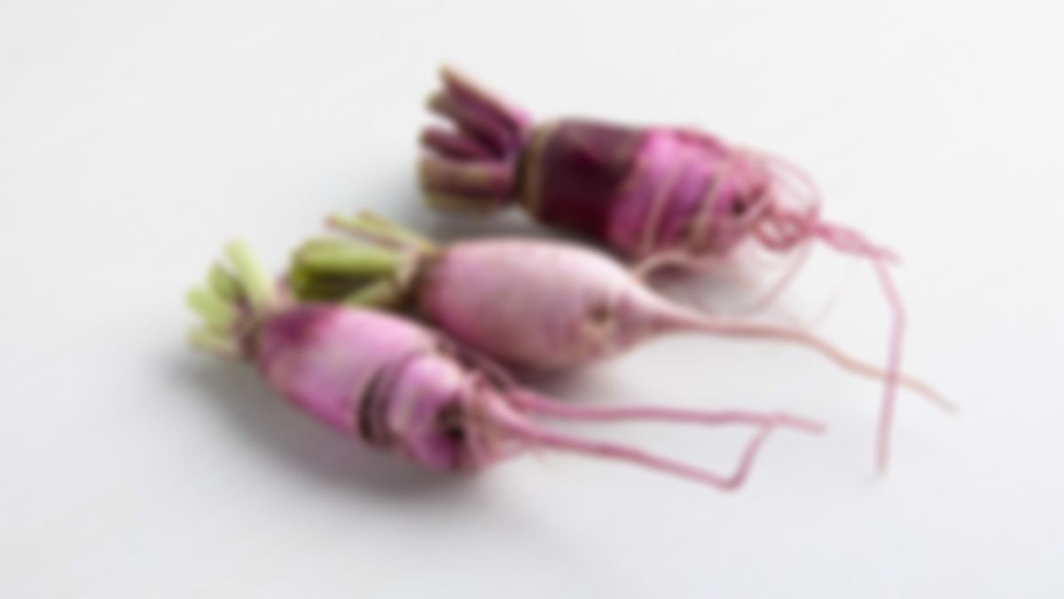 Pusa jamuni radish