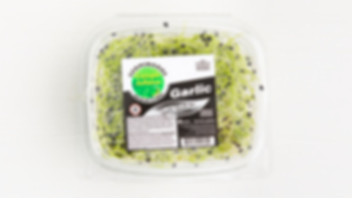 Germinados ajo, 2 oz