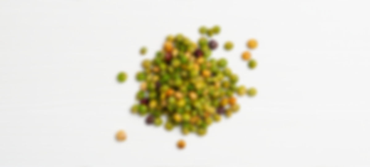 Gandules