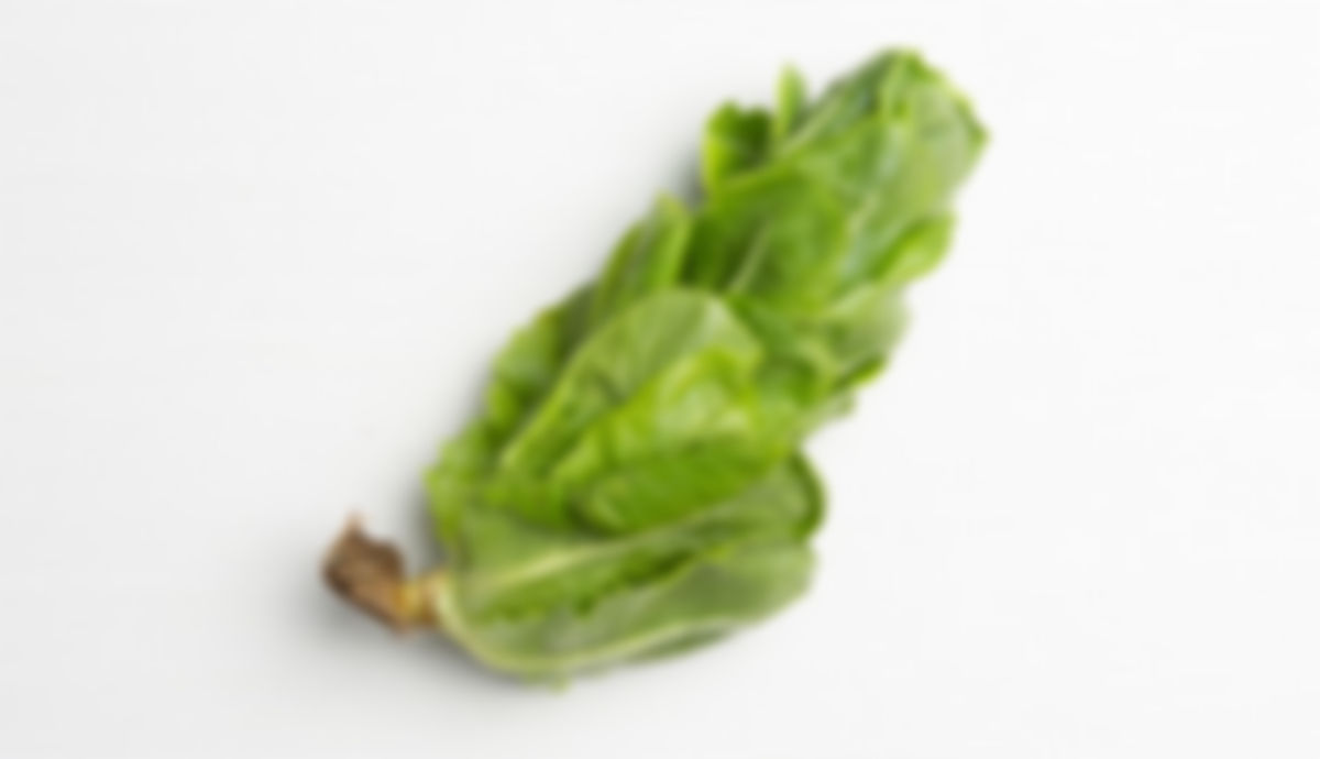 Lechuga Tropicana, 0.5 lb
