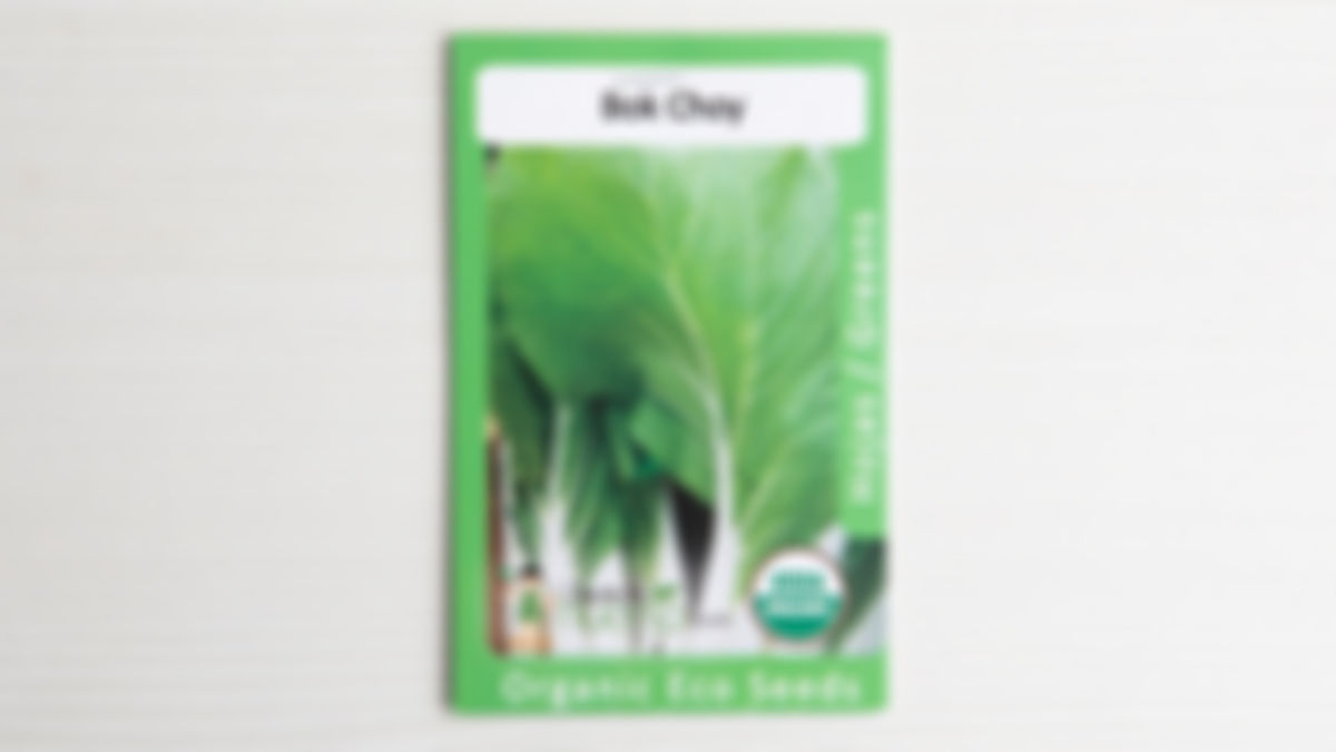 Bok Choy Seed