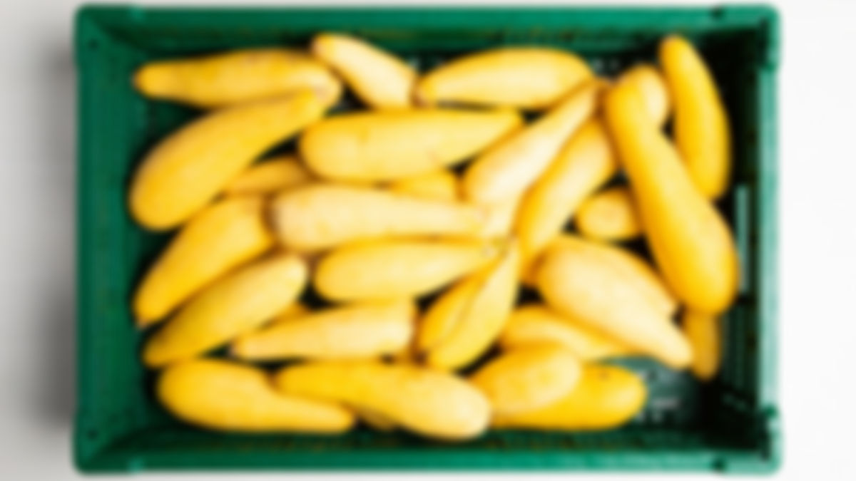 Calabacín amarillo, bulk