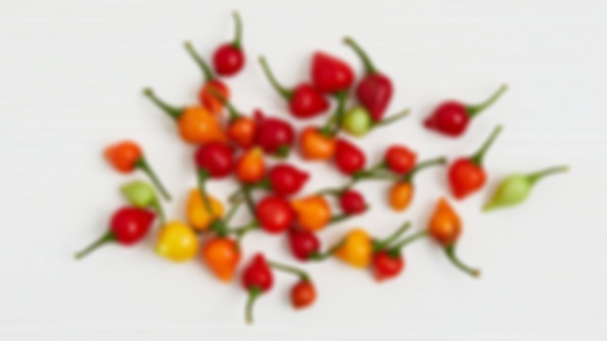 Pimiento biquinho