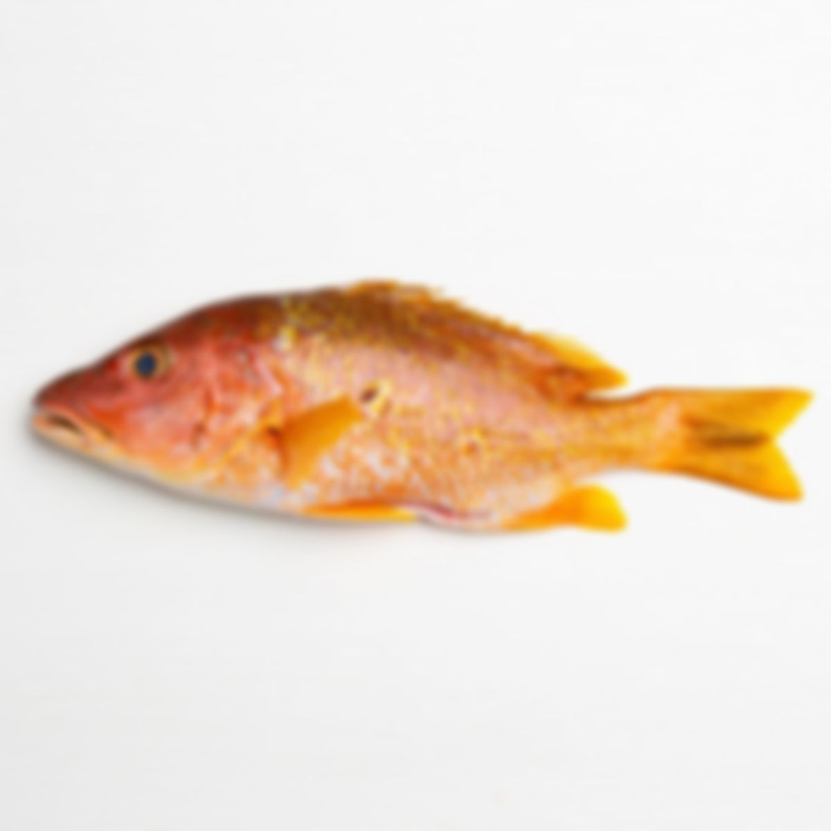 Pescado sama entero (0.5 - 1 lb)