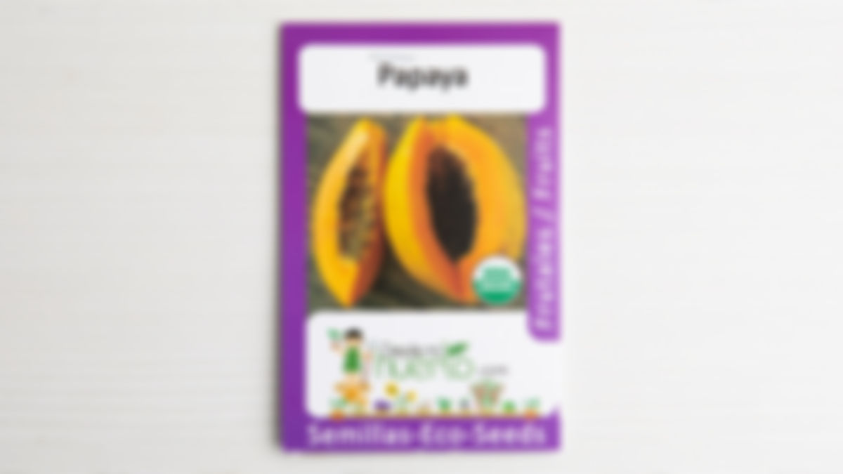 Semilla Papaya