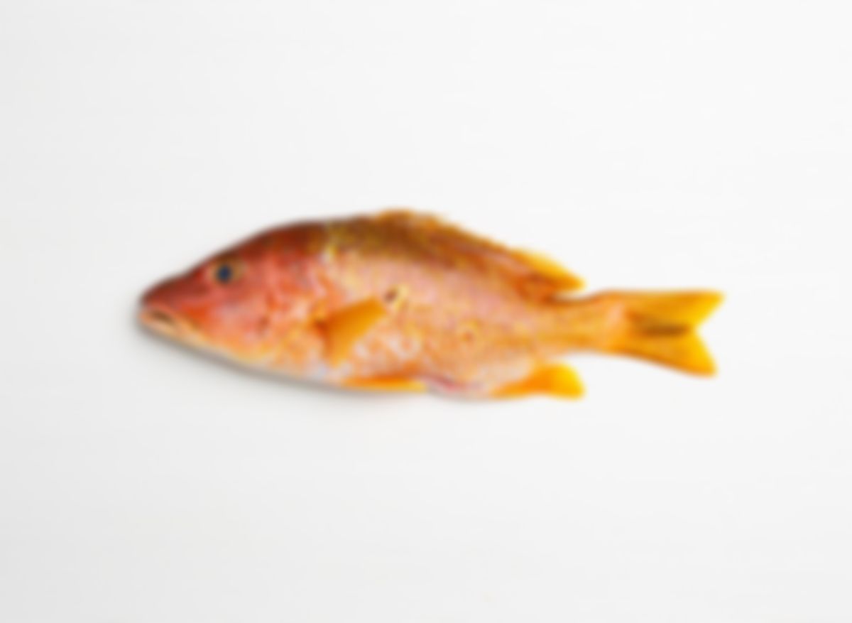 Whole snapper (pargo) (4 - 4.5 lbs)