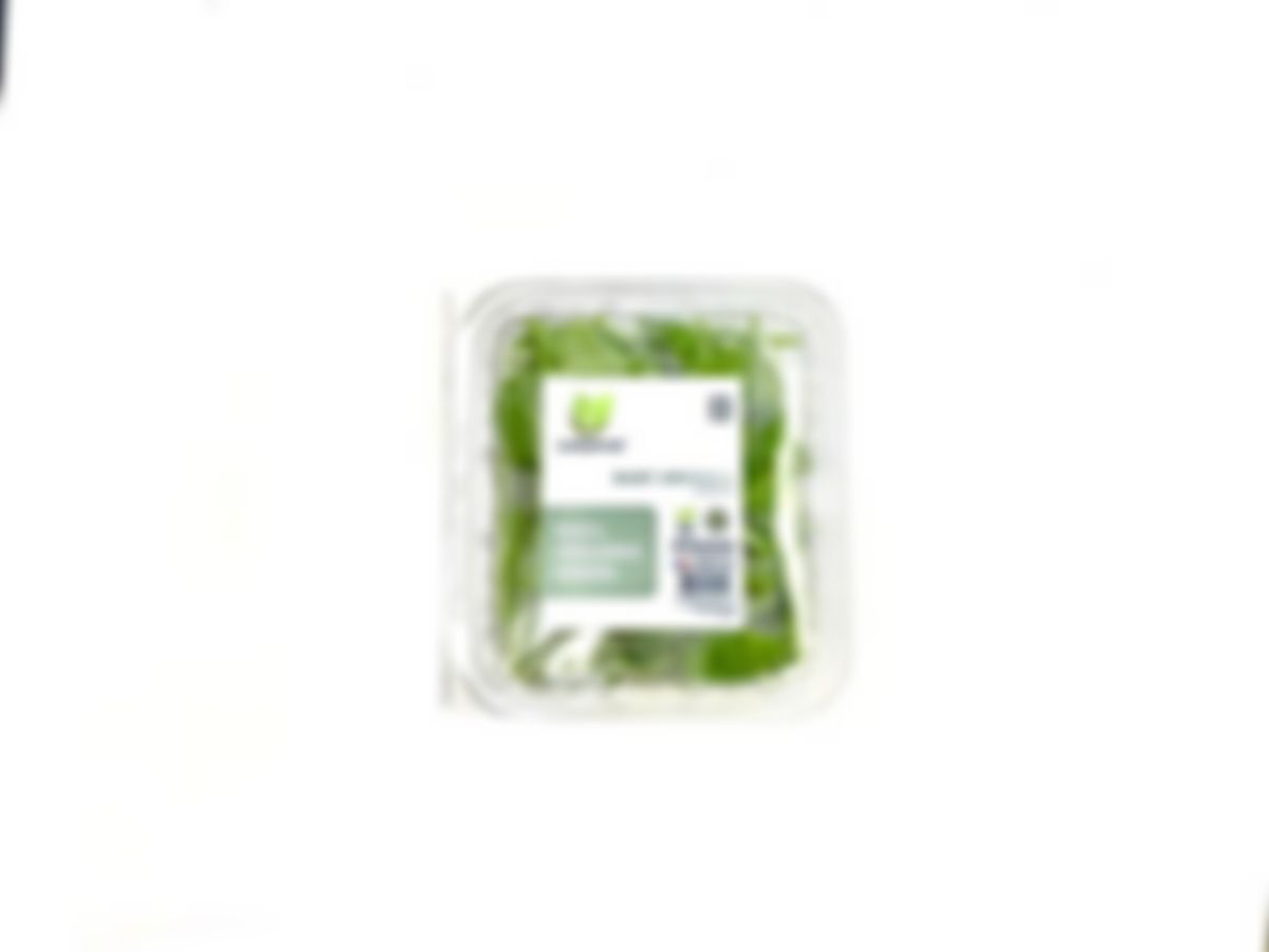 Baby arugula (rúcula)