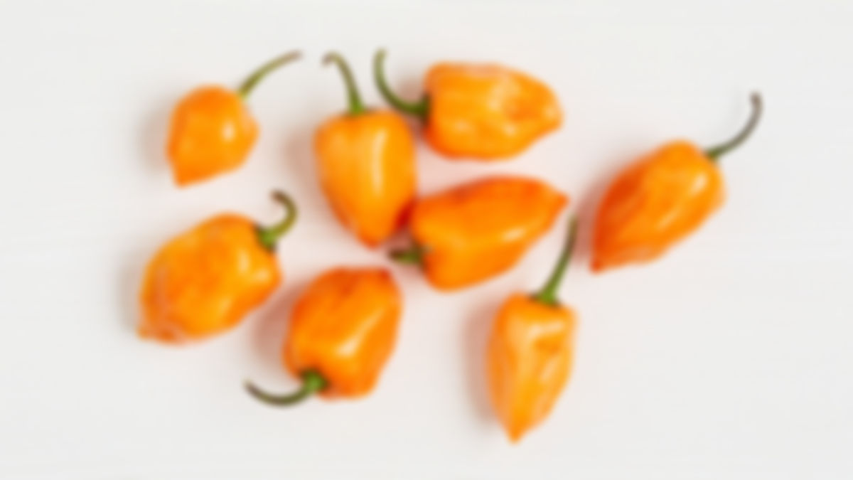 Pimiento habanero