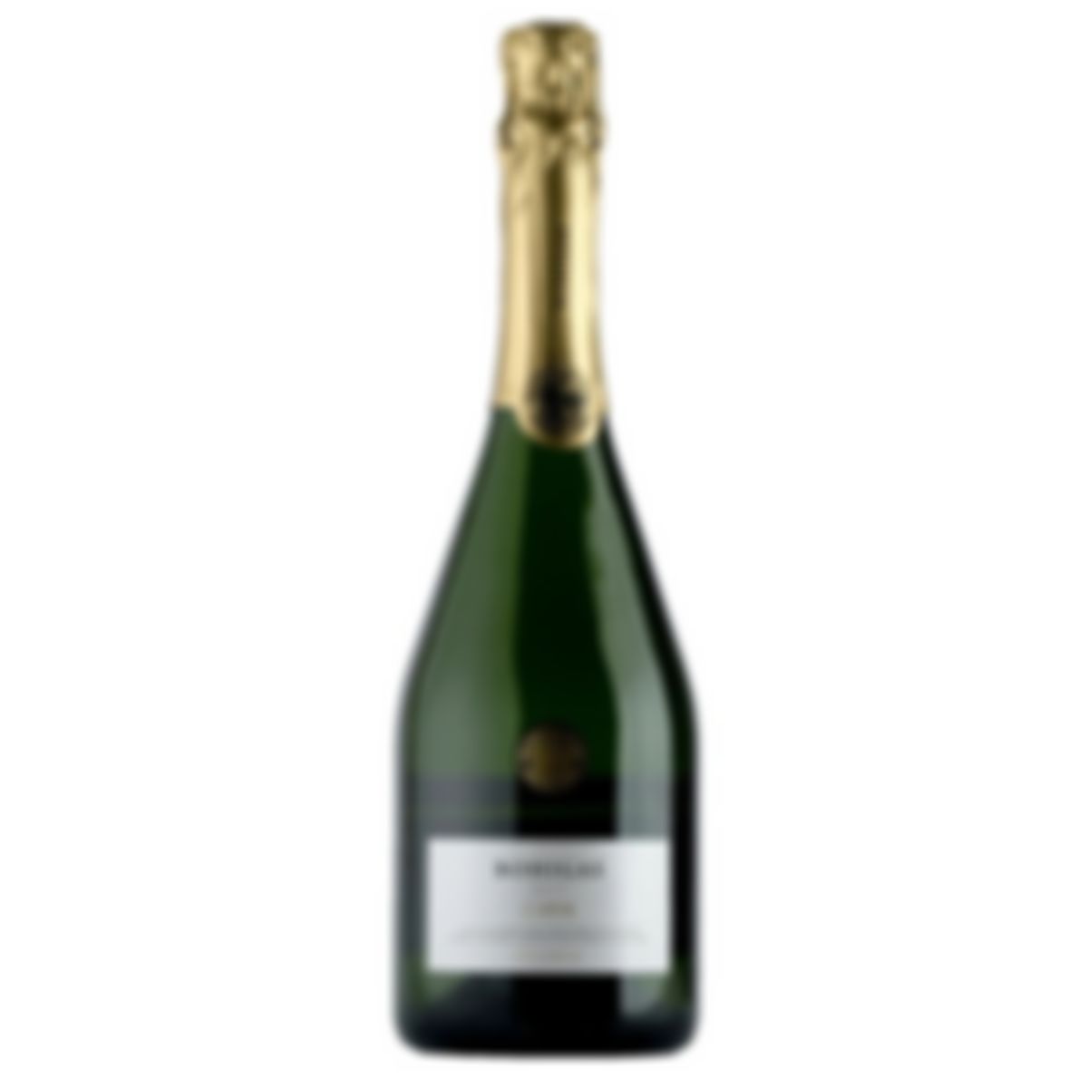 Cava Bohigas Brut Reserva