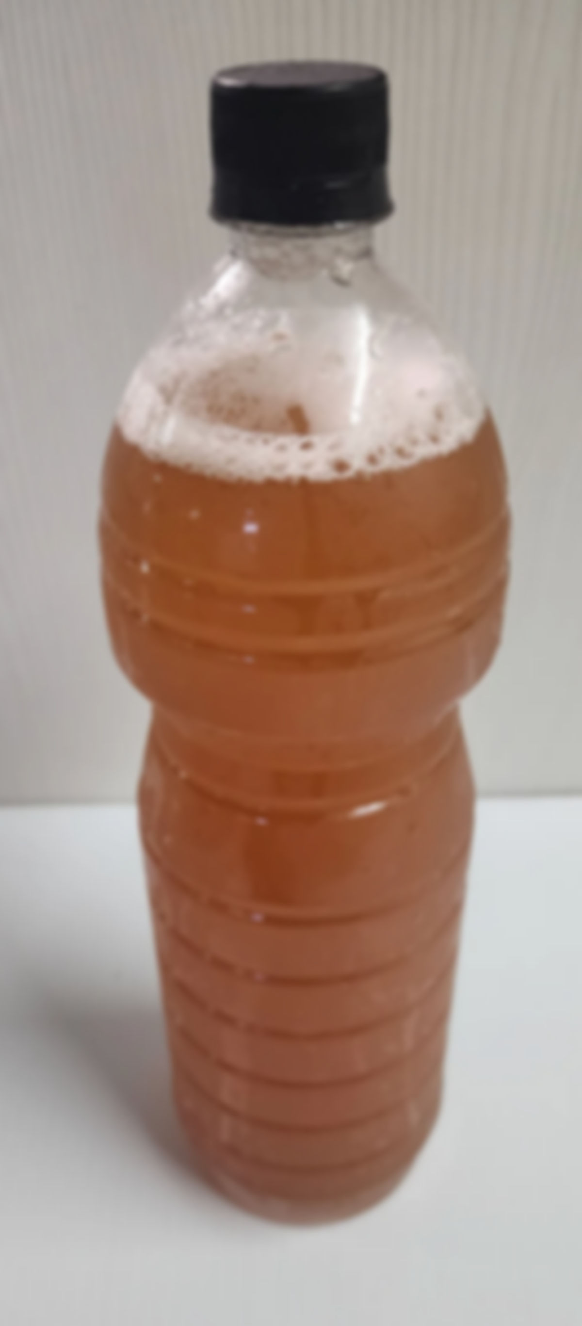 Mavi (16oz)